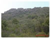 Cerro La Utrera-Manchas